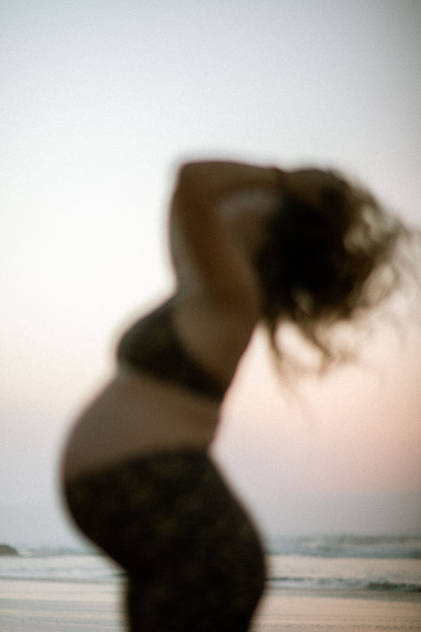 Dara short | tortoise tigre