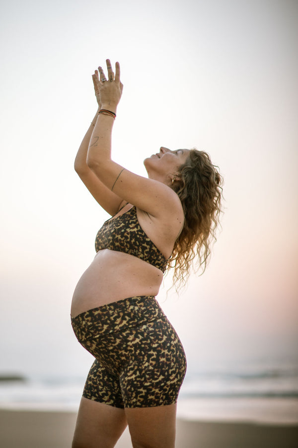 Dara short | tortoise tigre