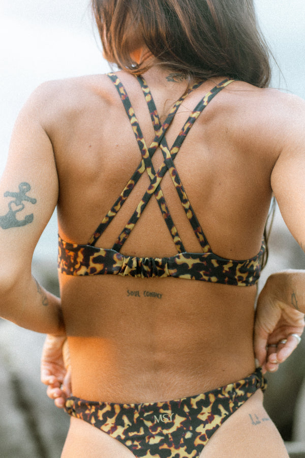 Billie | tortoise tigre