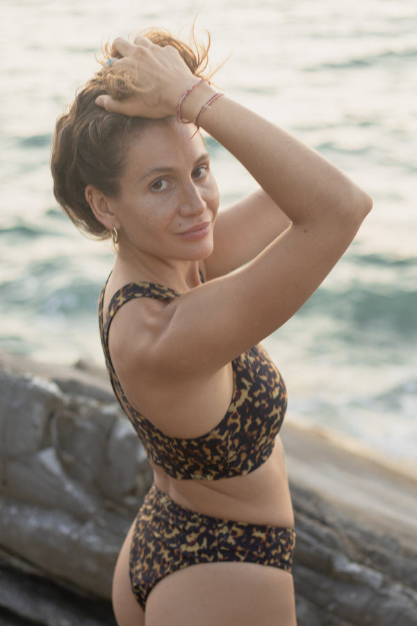 Tessa | Tortoise Tigre