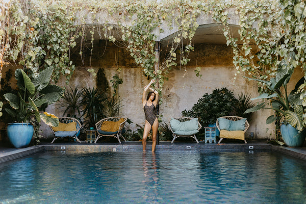 Aela | Tortoise Tigre