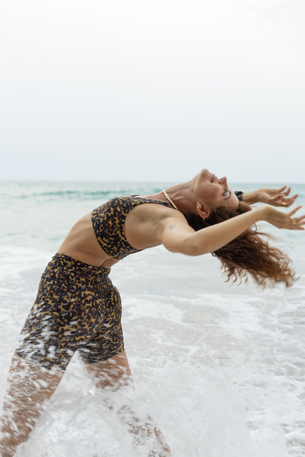 Dara short | tortoise tigre